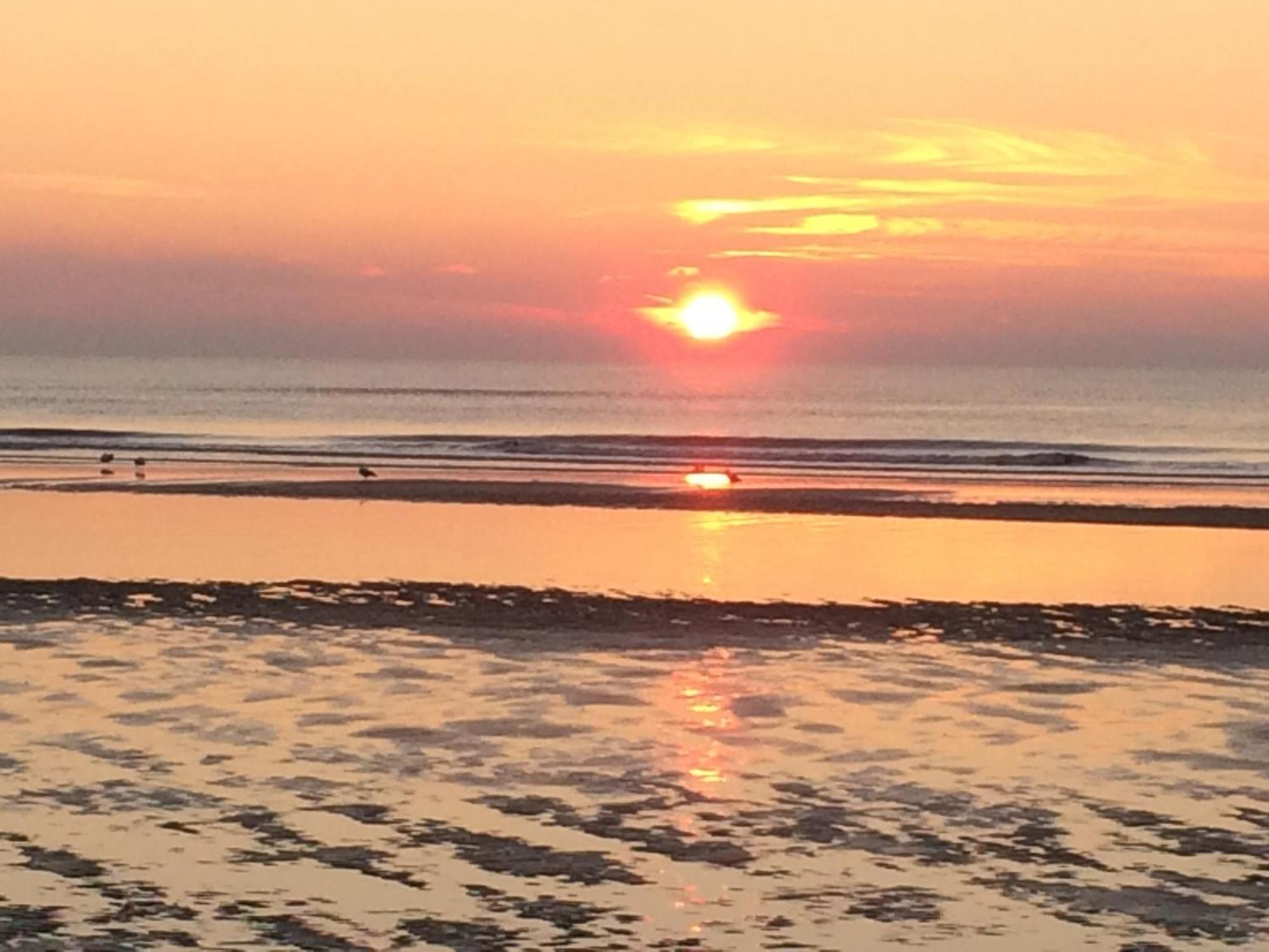 Hotel Noordzee Zandvoort Dış mekan fotoğraf